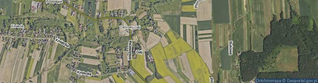 Zdjęcie satelitarne Gaj ul.